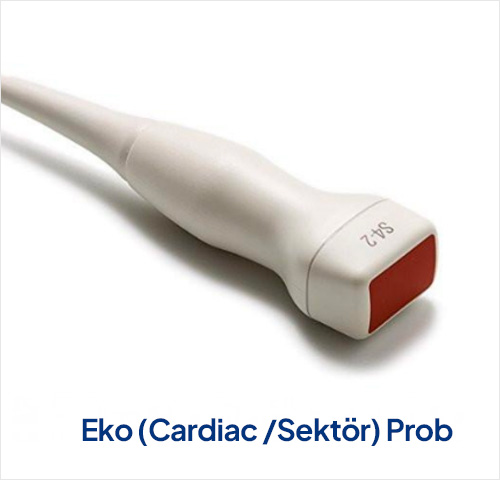Eko (Cardiac /Sektör) Prob